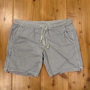 GAP Navy and White Striped Shorts